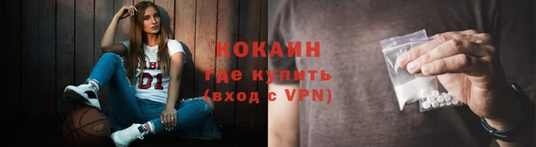 стаф Верея