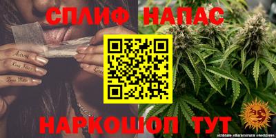 гидра Заволжье