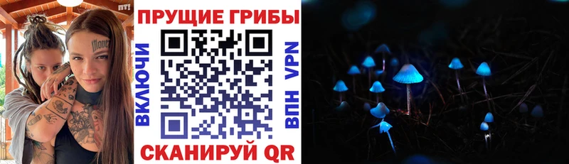 Галлюциногенные грибы мицелий OMG ссылки Краснознаменск